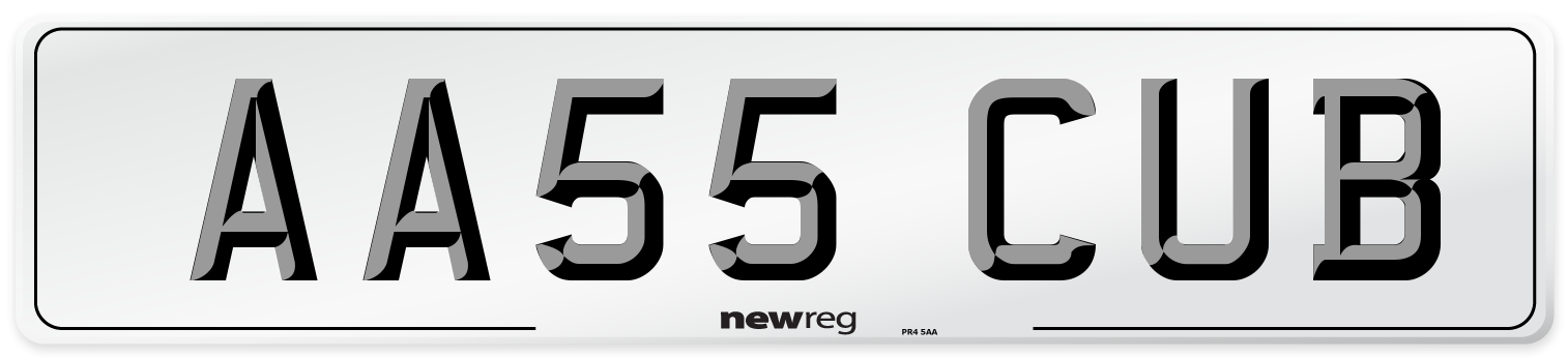 AA55 CUB Number Plate from New Reg